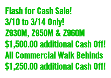 flash for cash sale